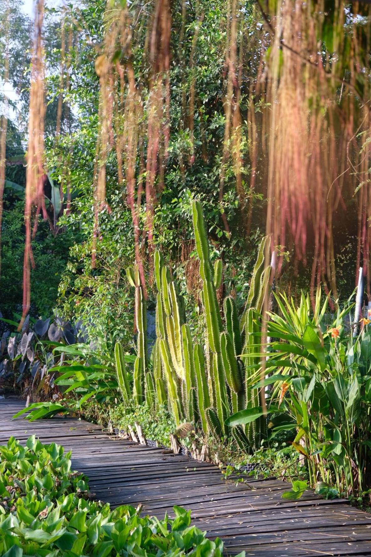 Bungalow - Farmstay Hoa Rung U Minh Cà Mau エクステリア 写真