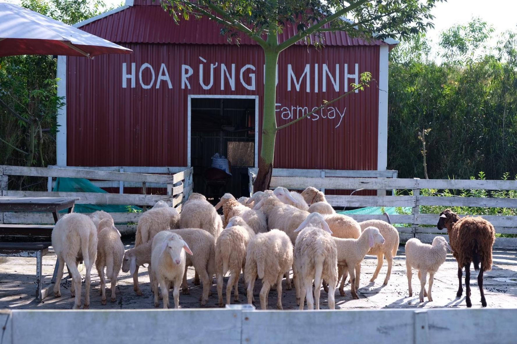 Bungalow - Farmstay Hoa Rung U Minh Cà Mau エクステリア 写真