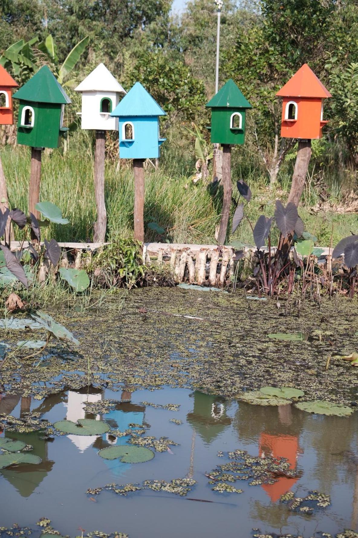 Bungalow - Farmstay Hoa Rung U Minh Cà Mau エクステリア 写真